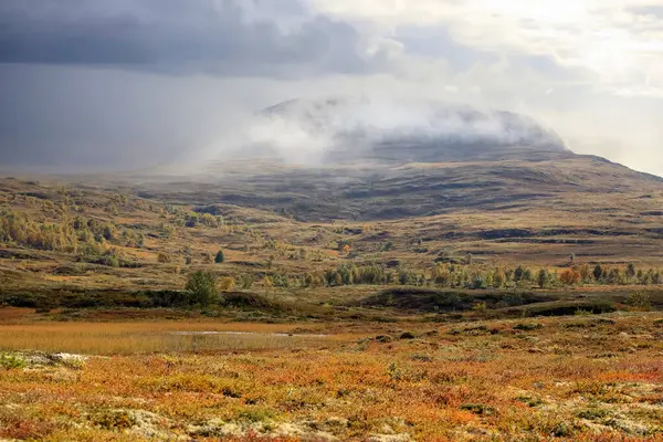 位于挪威中部的Forollhogna国家公园的沼泽地和山脉 — 图库照片