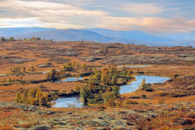 Norveç 'teki dağlarda Hint yazı. Fotoğraf Forollhogna Milli Parkı' nda çekildi.