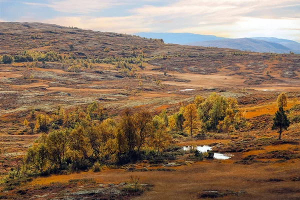 Norveç 'teki dağlarda Hint yazı. Fotoğraf Forollhogna Milli Parkı' nda çekildi.