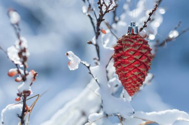 Mavi arka planlı güneşli ormandaki dalda Noel oyuncağı.
