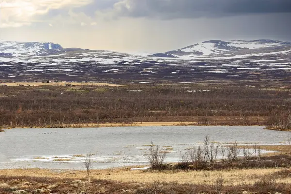 Fokstumyra Doğa Rezervi, Dovrefjell 'de yer alan bir doğa koruma alanıdır. Bölge zengin kuş faunası ve bitki çeşitliliği ile tanınıyor.