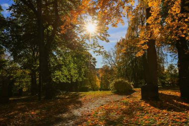 Trondheim 'da sonbahar, Nidaros Parkı manzarası