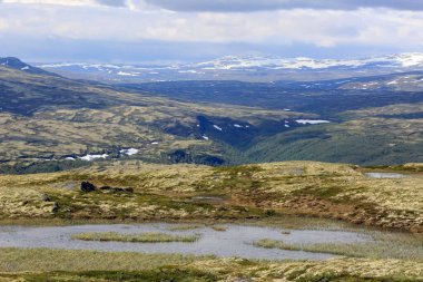 Norveç 'in Rennebu belediyesinde yer alan Inna Nehri (Innset) vadisini kapsar.