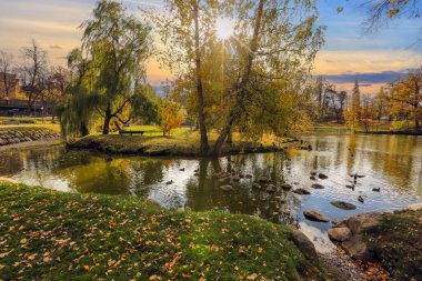 800 yıllık tarihi ve Avrupa 'nın en iyi korunmuş eski kasabalarından biri olan Cesis' te sonbahar mevsimi. Sonbahar parkı ve gölet manzarası.