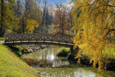 800 yıllık tarihi ve Avrupa 'nın en iyi korunmuş eski kasabalarından biri olan Cesis' te sonbahar mevsimi. Sonbahar parkı ve gölet manzarası.