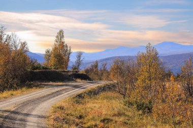 Norveç 'in orta kesimindeki Forollhogna Ulusal Parkı' nda sonbahar manzarası