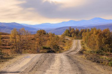 Norveç 'in orta kesimindeki Forollhogna Ulusal Parkı' nda sonbahar manzarası