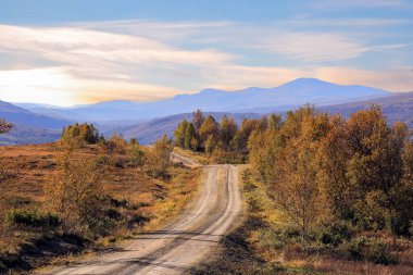 Norveç 'in orta kesimindeki Forollhogna Ulusal Parkı' nda sonbahar manzarası