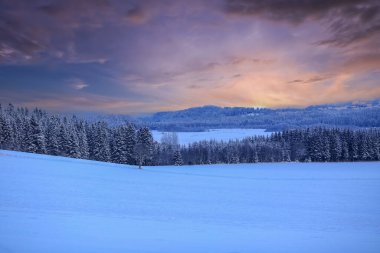 Snowy winter in Troendelag, view of the agricultural area Byneset  during sunset clipart