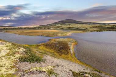Orkla Nehri, Norveç 'in Oppdal ilçesinde bulunan Orkel Gölü' nün dışındaki kaynaktır.