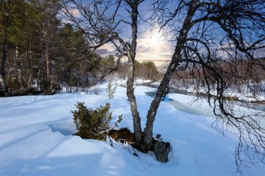 Spring stream at the river Inna located in the Rennebu count, Norway clipart