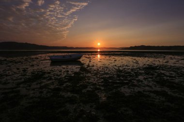 Low tide at Trondheim fjord, view of the sandy beach Oesanden located near the city Trondheim clipart