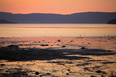 Low tide at Trondheim fjord and sandy beach Oesand  located near the Norwegian city Trondheim clipart