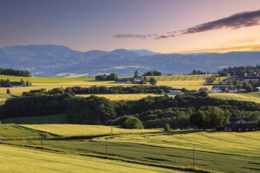 Norveç 'te yaz mevsimi, Trondheim yakınlarındaki Byneset tarım alanının manzarası