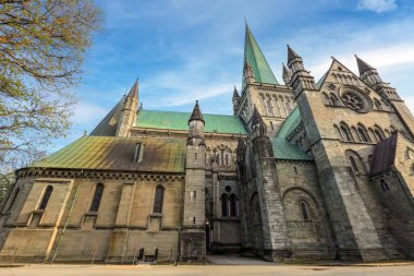 Trondheim 'da bahar, Nidarosdomen Katedrali manzarası