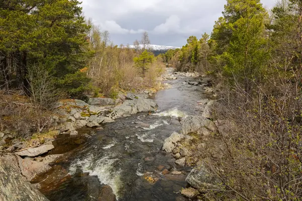 Norveç 'te bahar, Inna nehrinin Innerdalen' deki manzarası (Innset)