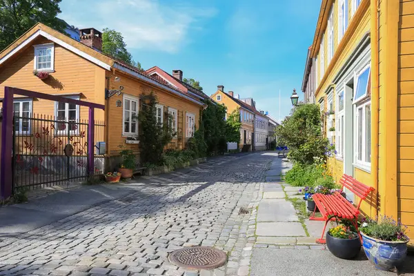 Trondheim 'da yaz, tarihi Bakklandet bölgesinde renkli evleri olan cadde manzarası.