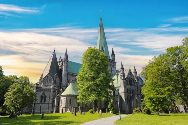 Trondheim 'da yaz, Nidarosdomen Katedrali manzarası