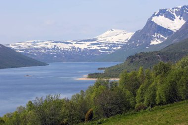 Norveç 'in Oppdal ilçesinde bulunan Gjevillvatnet Gölü' nde yaz mevsimi. Trollheimen Ulusal Parkı 'ndaki dağların manzarası.