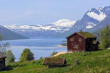 Gjevillvatnet Norveç 06: 14 2025 yazında Norveç 'in Oppdal ilinde yer alan Gjevillvatnet Gölü' nde. Trollheimen Ulusal Parkı 'ndaki dağların manzarası