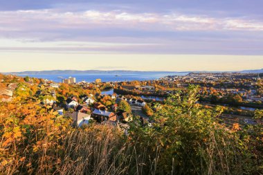 Trondheim 'da sonbahar, Trondheim fiyortu, Munkholmen adası ve Nidelva nehri havadan görünüşü.