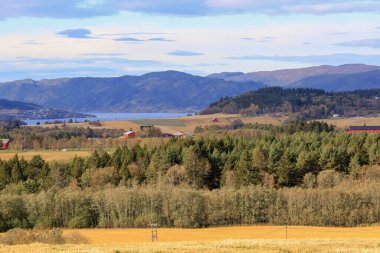 Norveç 'te düşmek, Norveç şehri Trondheim yakınlarındaki Byneset ve Trondheim fiyortlarını görmek