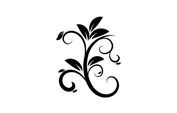 Floral element design vector illustration.