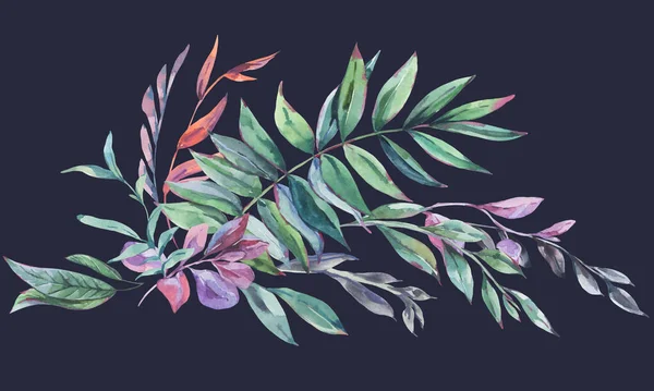 Akvarell Évjárat Trópusi Levelek Üdvözlőlap Botanikus Virágos Nyár Illusztráció Fekete — Stock Fotó