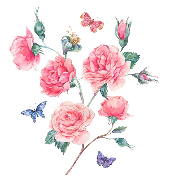 Tarjeta Felicitación Ramo Rosas Jardín Vintage Acuarela Ilustración Floral Botánica —  Fotos de Stock