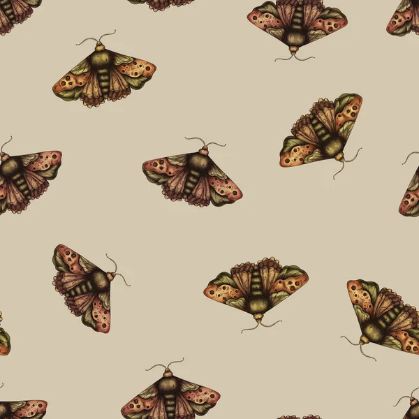 Vintage Moth Seamless Pattern Blooming Dark Butterfly Hand Drawn — Stock Photo, Image