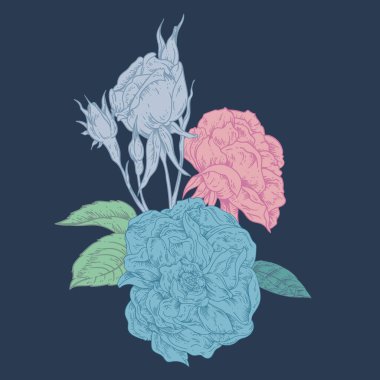 El Çizimi Gül Çiçek Çizgisi Resim Çizimi, Botanik Vintage Güller Kutlama Kartı