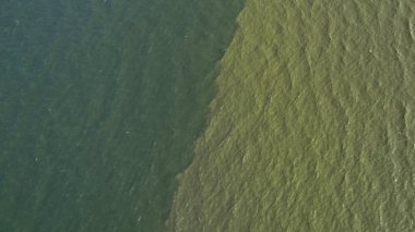 Chonburi Tayland 'daki Bangseang plajında tropikal deniz manzarası görülür.