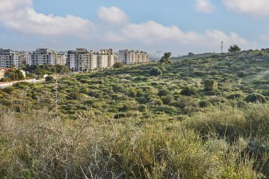 Yeni kentsel alan ve şehir parkının yanına yeni evler inşa ediliyor..