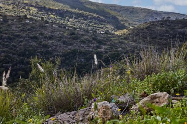 Yeşil tepelerin huzurlu bir görüntüsü ve tüylü beyaz bulutlu mavi bir gökyüzü. Canlı renkler ve yemyeşil bitkiler tepeleri kaplıyor. Geçmişleri ya da seyahat broşürleri için mükemmel..
