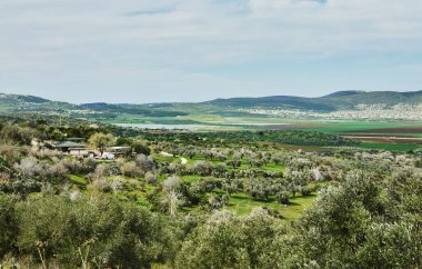 Parçalı bulutlu bir gökyüzünün altında yuvarlanan yeşil tepeler, zeytin ağaçları ve uzak tarım arazileri ile nefes kesici bir doğal manzara sükuneti çağrıştırıyor..