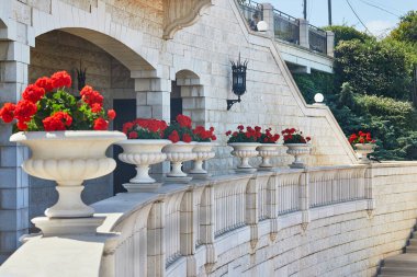 İsrail 'in Haifa kentindeki Bahai Bahçeleri' nde güneşli gökyüzünün altında canlı kırmızı çiçeklerle bezenmiş süslemeli beyaz kayalar..