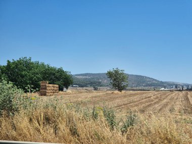 Yalnız bir ağacın yanında saman balyaları ve yeşil bitki örtüsü olan bir tarla, ormanlık tepelere ve parlak mavi gökyüzüne karşı kurulmuş..