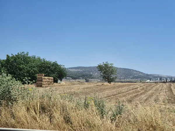 Yalnız bir ağacın yanında saman balyaları ve yeşil bitki örtüsü olan bir tarla, ormanlık tepelere ve parlak mavi gökyüzüne karşı kurulmuş..