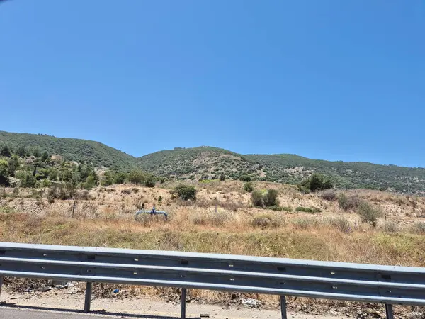 Berrak mavi gökyüzünün altında dağınık ağaçlarla kuru, çimenli bir yamaç, kırsal alanda tipik Akdeniz yaz manzarası..