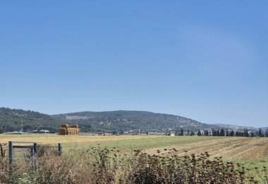 Açık mavi gökyüzünün altında altın bir tarlada istiflenmiş saman balyaları, ormanlık tepeler barışçıl bir kırsal zemin oluşturuyor..