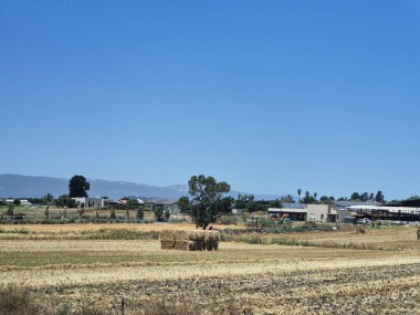 Saman yığınları, arka planda uzak evler ve tepeler olan kırsal tarım arazisi, açık mavi bir yaz gökyüzünün altında..