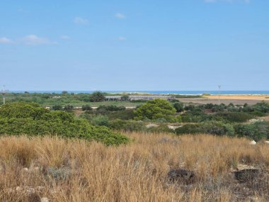 Açık araziye yayılmış altın otlar ve yeşil çalılar açık mavi gökyüzünün altında uzak bir deniz manzarası ile.