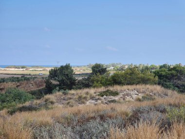 Kuru arazi ve çalılık uzak kıyılara kadar uzanıyor. Kıyı bitkileri ve açık bir gökyüzü uzak deniz ufkuyla buluşuyor..