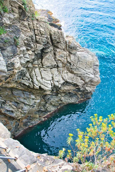 Havslandskap Från Den Typiska Nordvästra Italienska Kusten Skönhet Naturen — Stockfoto