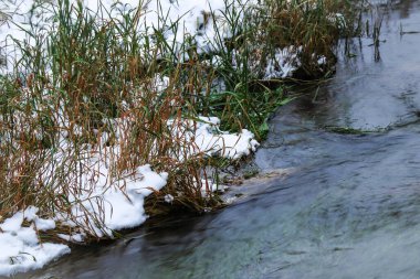 Akan nehir kıyısında henüz yeşil çimenler ve karla kaplı bir kış günü