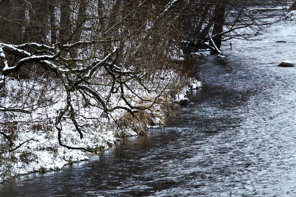 Flowing water river curve with snow covered bank with big tree branch over water flow