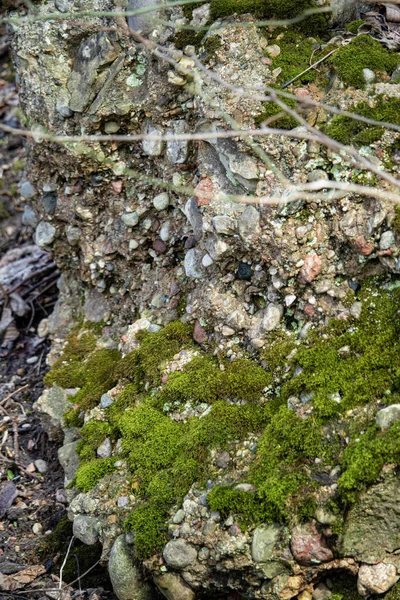 Felsbrocken Mit Grünem Struppigem Moos Und Kleinen Kieselsteinen Sand — Stockfoto
