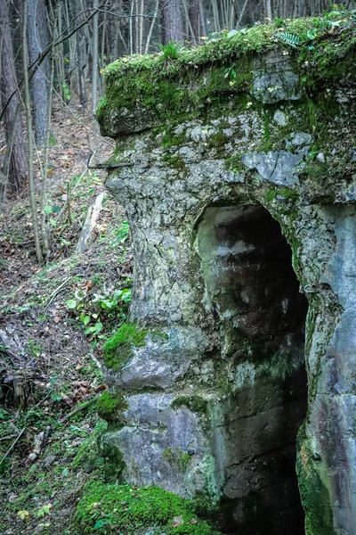 Soğuk Yosunlu Yeraltı Mezarının Karanlık Ürkütücü Girişini Ormanda Yeşil Pantolonla — Stok fotoğraf