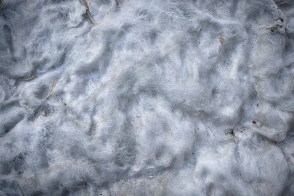 Sfondo Bianco Sporco Cotone Idrofilo Vecchio Materasso Ripieno Vicino Dall — Foto Stock