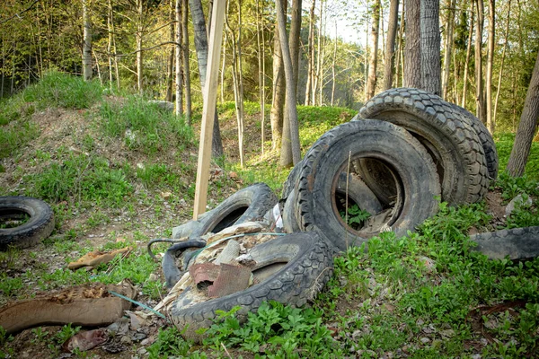 Old big vehicle tires left abandoned in green spring forest background on sunny day